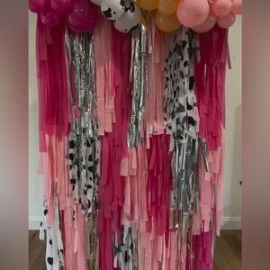 Cowgirl fringe backdrop